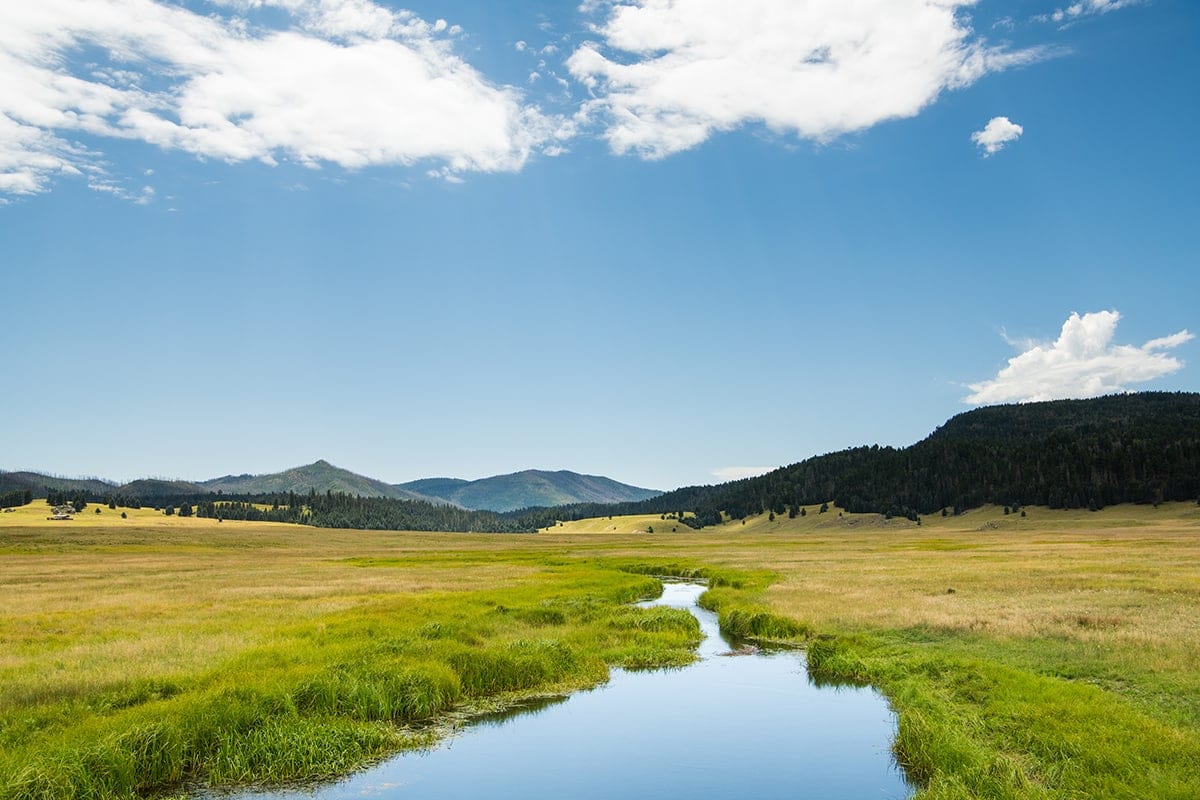 stream at Valles Caldera New Mexico