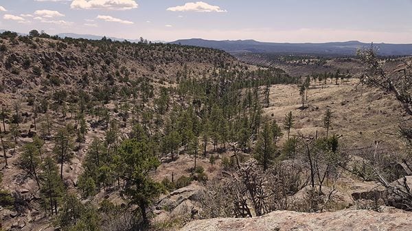 Bandelier Los Alamos New Mexico