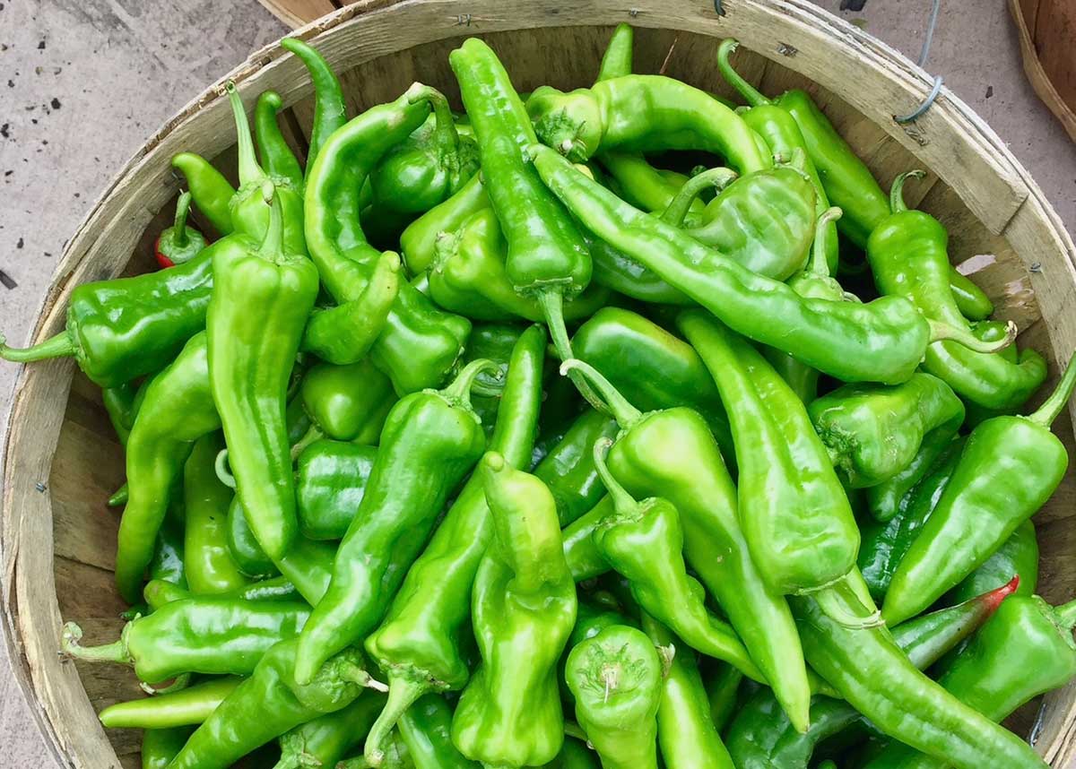 Red or Green Hot Times Ahead Heating It Up