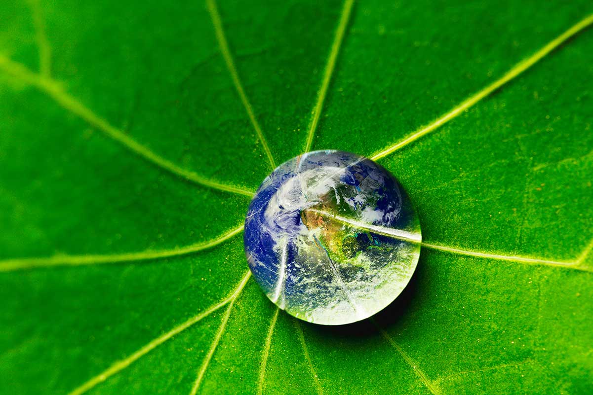 Water conservation image of water drop on leaf.