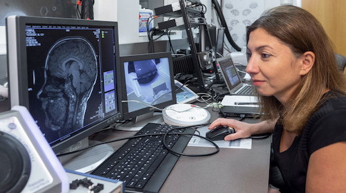 BAM!! Insights on the Brain & Music 3 of 3 SFCMF