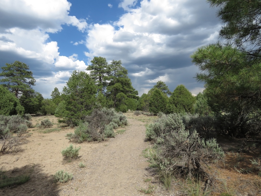 Heron Lake Trail. Trails throughout the park are well-maintained.