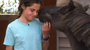 My Little Horse Whisper