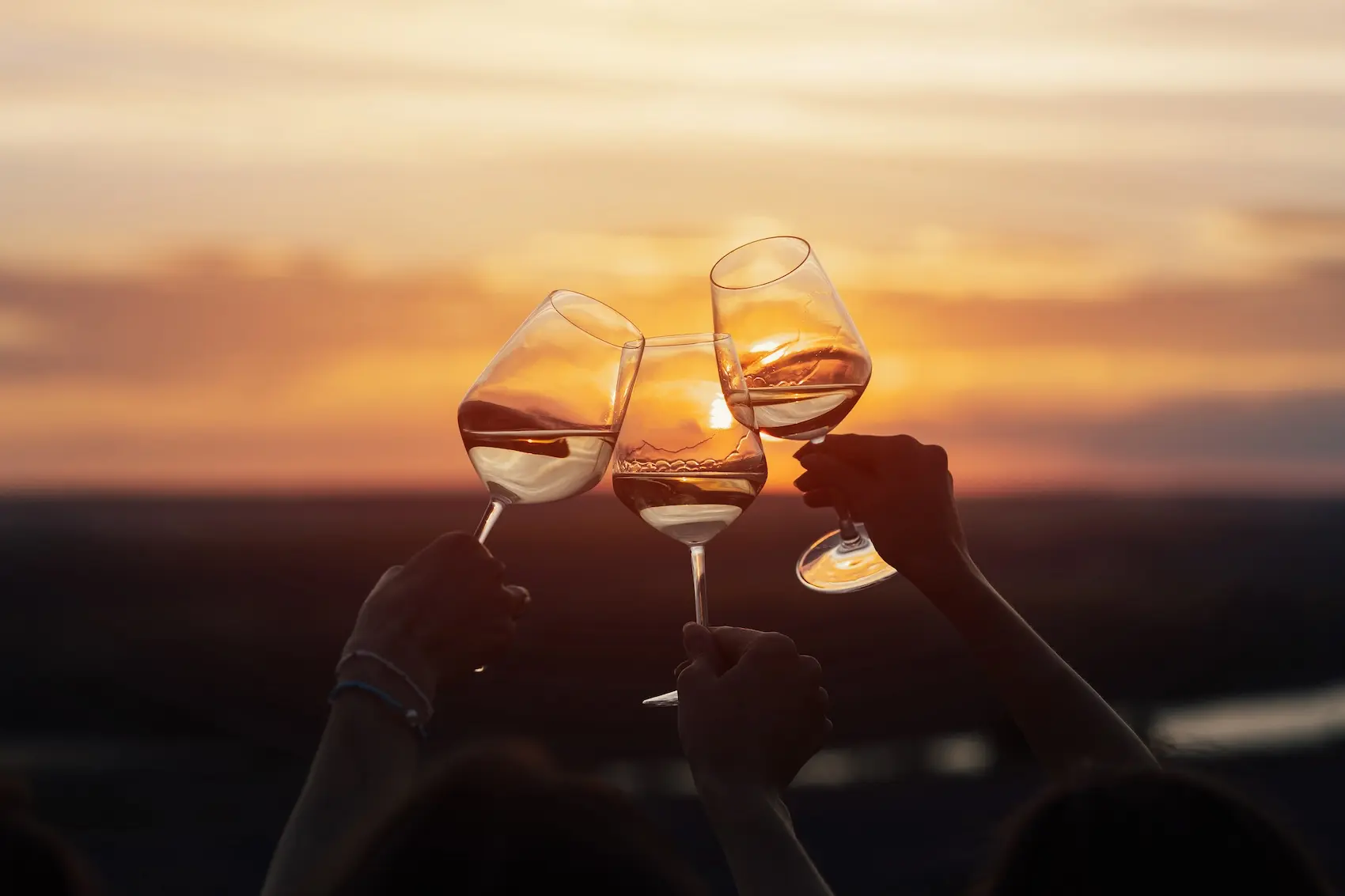 Friends raise wine glasses in a sunset toast.