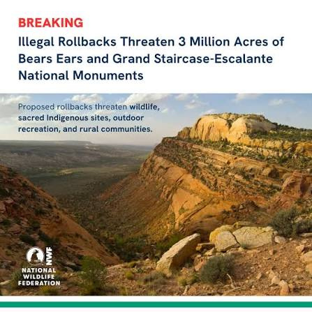 Breaking news: Rollbacks threaten 3 million acres of Bears Ears and Grand Staircase-Escalante; desert canyon photo with NWF logo.