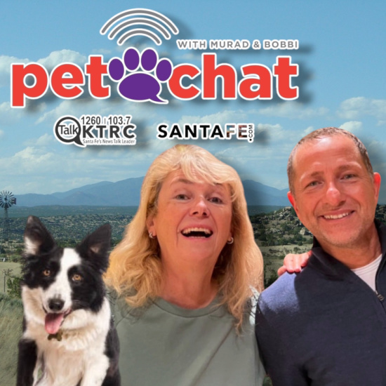 Promo image for Pet Chat: logo with a purple paw and the words 'pet chat', two smiling hosts, and a border collie in a desert landscape background.